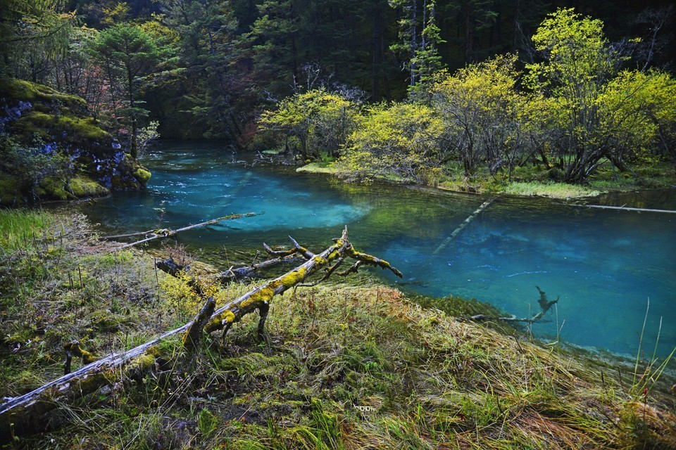 一年级旅游攻略怎么写