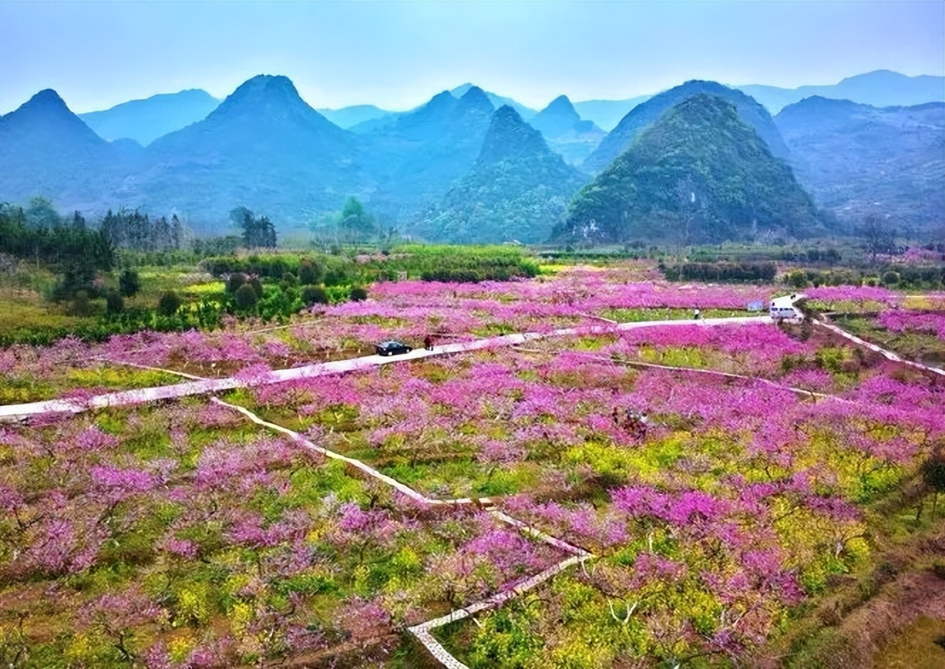 广州出发-广西4天游，赏恭城桃花 骥马油菜花 南溪樱花 梯田花海(图21)