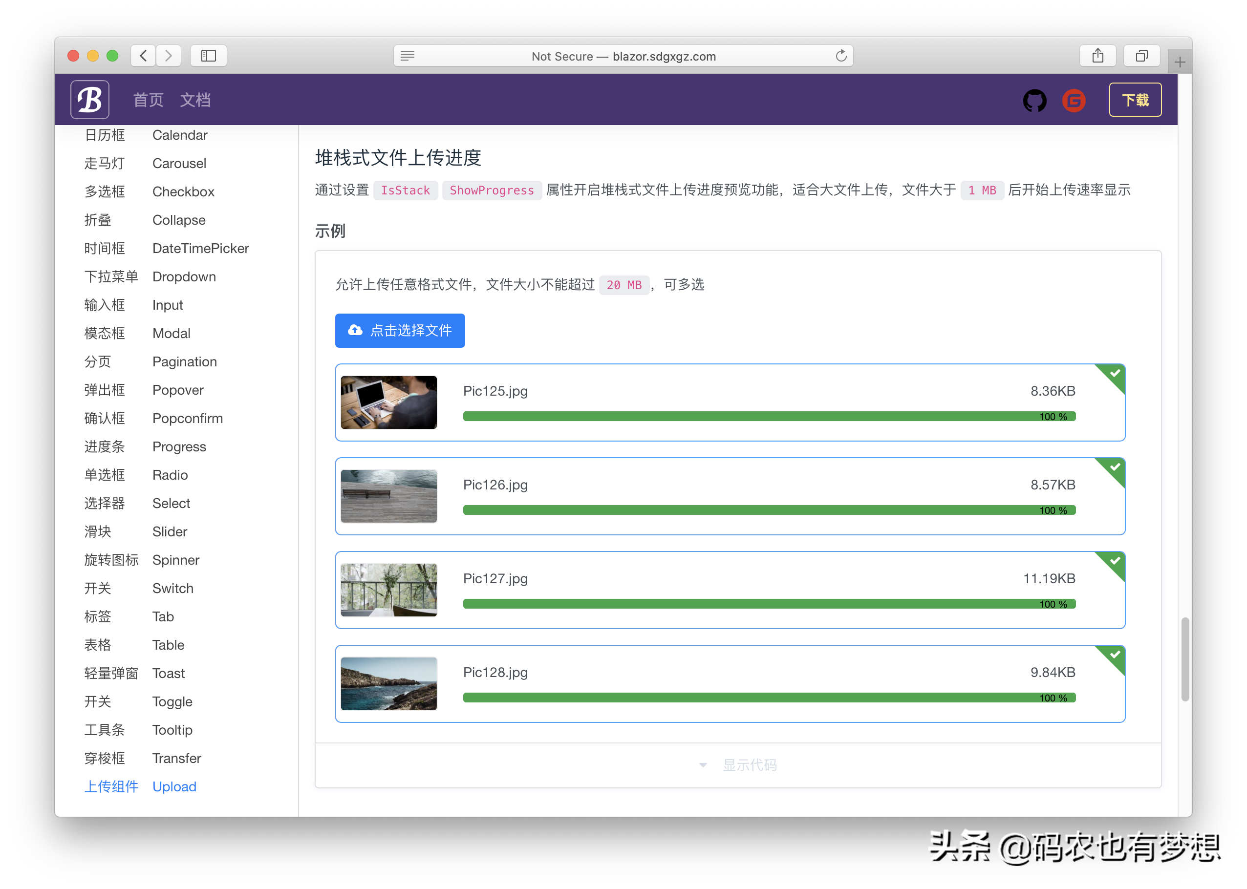 bootstrap 样式的 blazor ui 组件库，适配移动端支持各种主流浏览器