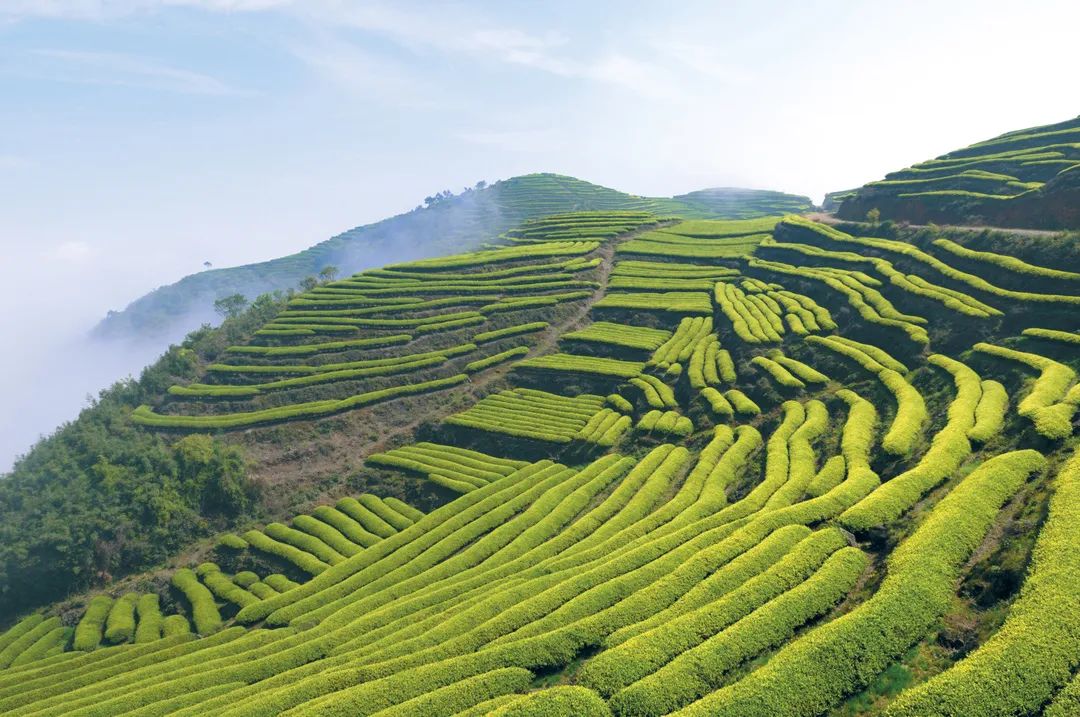 这几处霸屏抖音的网红景点，宛如海上世外桃源，一个比一个让人心动！