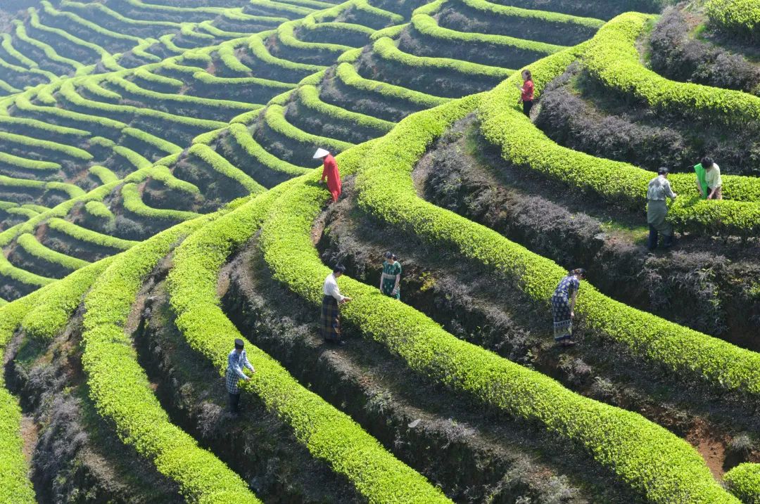 这几处霸屏抖音的网红景点，宛如海上世外桃源，一个比一个让人心动！