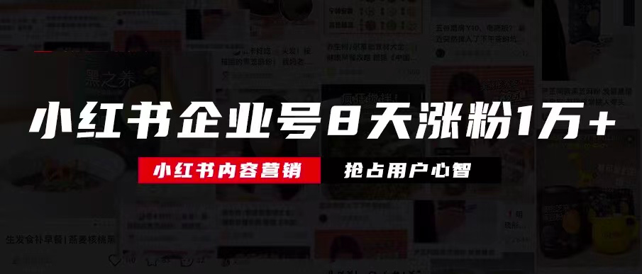 小红书企业号8天涨粉10000 ，我是如何到的？