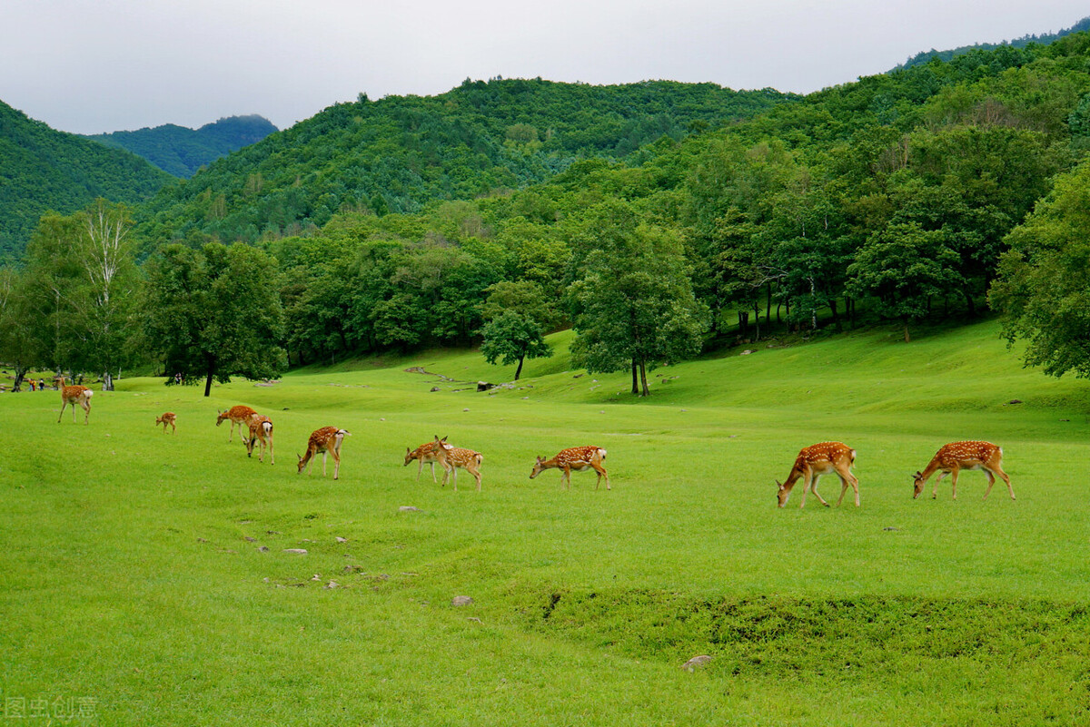 7月去哪玩？到这10个最佳旅游胜地，25℃的夏天等着你(图49)