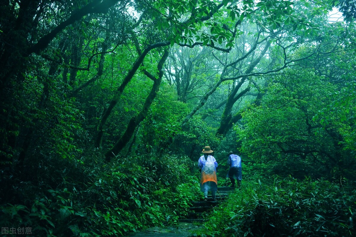 7月去哪玩？到这10个最佳旅游胜地，25℃的夏天等着你(图62)