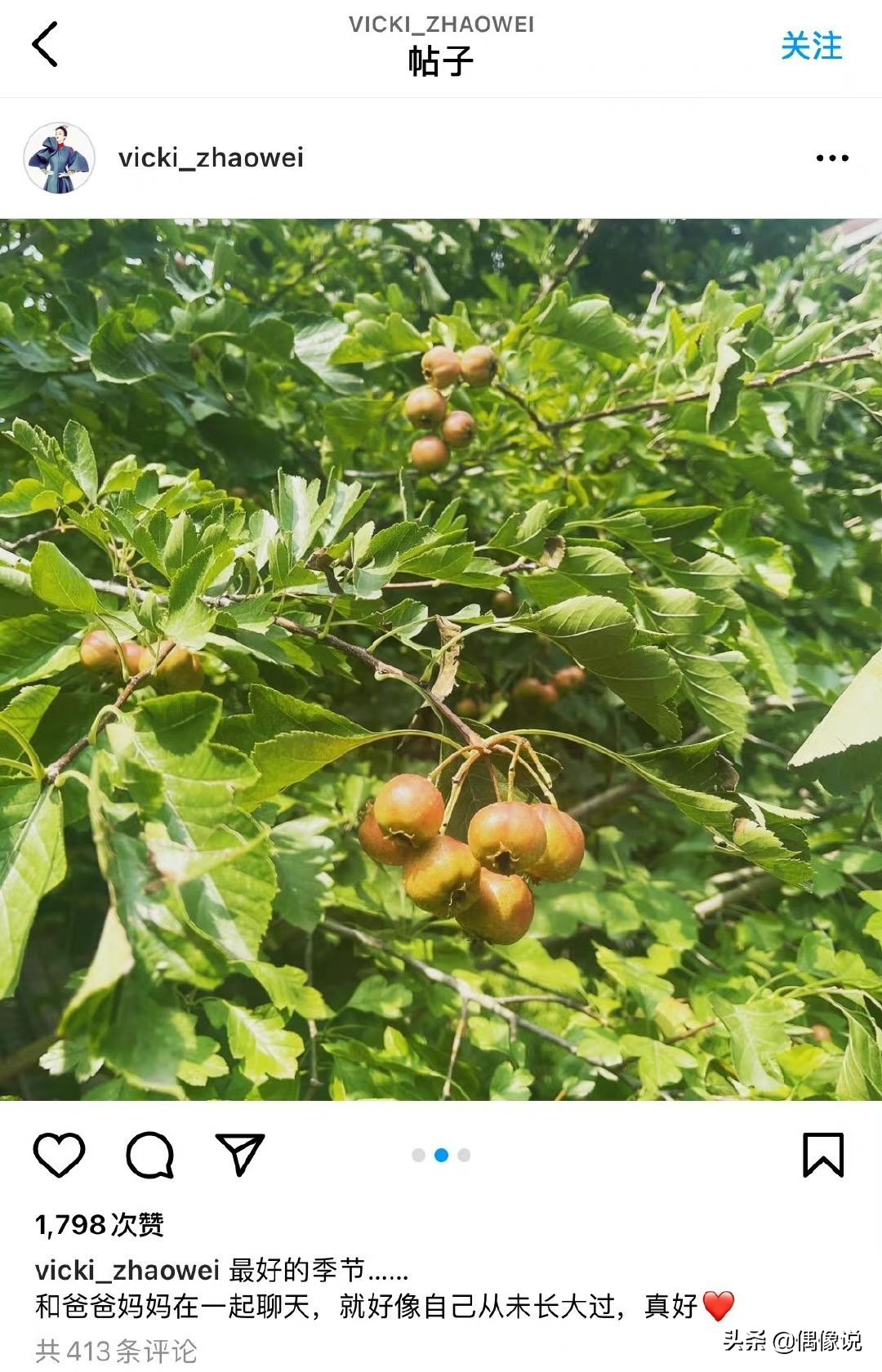 赵薇风波后首次发声：和爸妈在一起聊天！评论区自曝行程否认出国