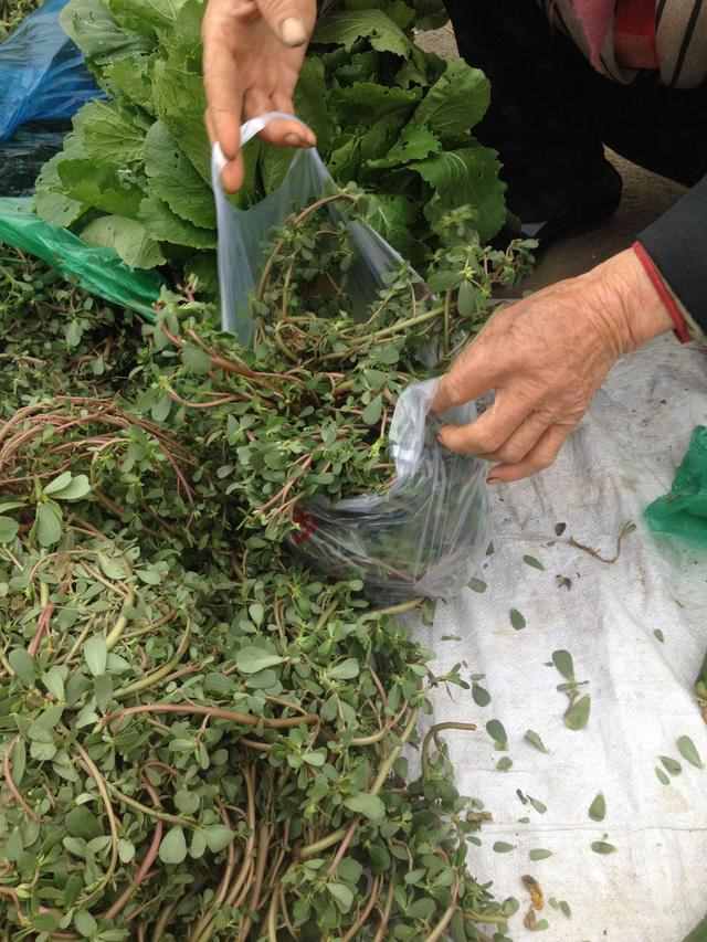 菜市场的蔬菜品种那么多，谁也没想到，赚钱的会是它