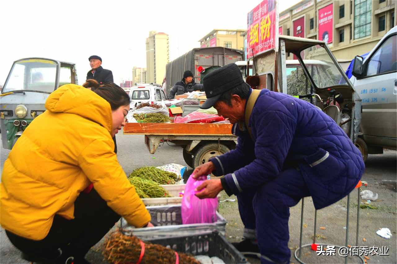 农村大爷把蔬菜晒干，身价就变得“金贵”起来，年货市场上很畅销