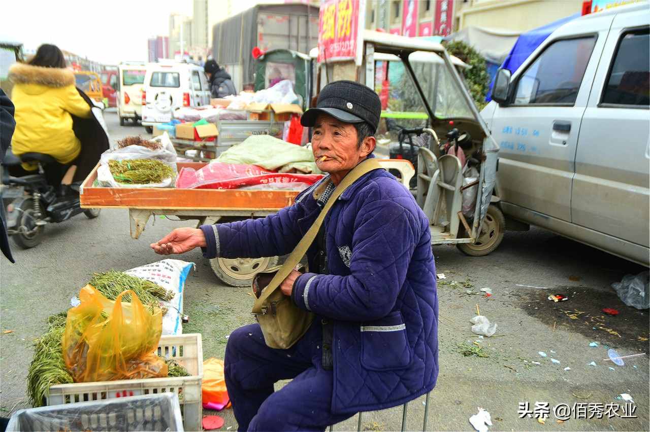 农村大爷把蔬菜晒干，身价就变得“金贵”起来，年货市场上很畅销