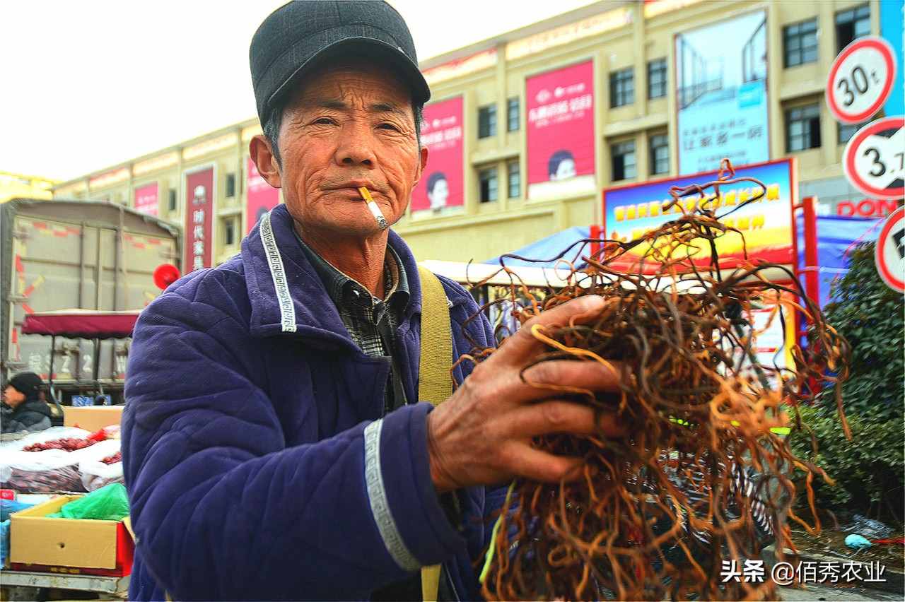 农村大爷把蔬菜晒干，身价就变得“金贵”起来，年货市场上很畅销