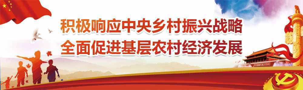 如何添加店铺商城公告、图片相册在哪里操作？