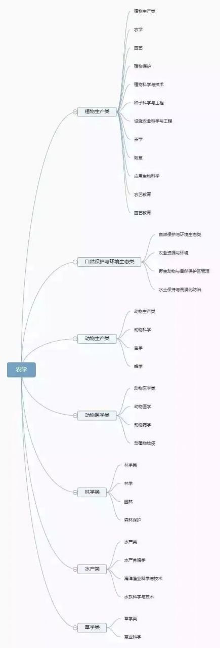 12张思维导图：认清全部大学专业